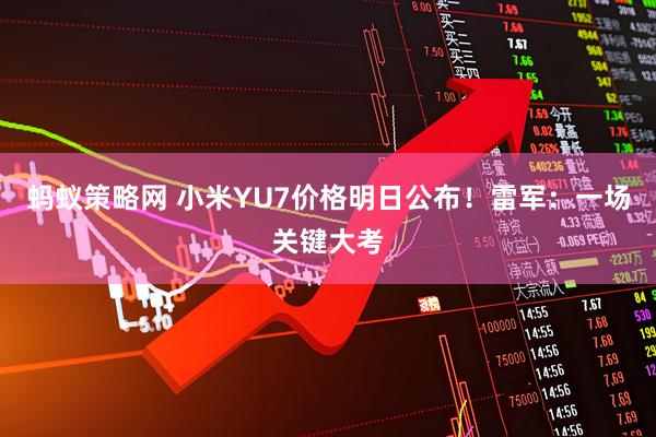 蚂蚁策略网 小米YU7价格明日公布！雷军：一场关键大考