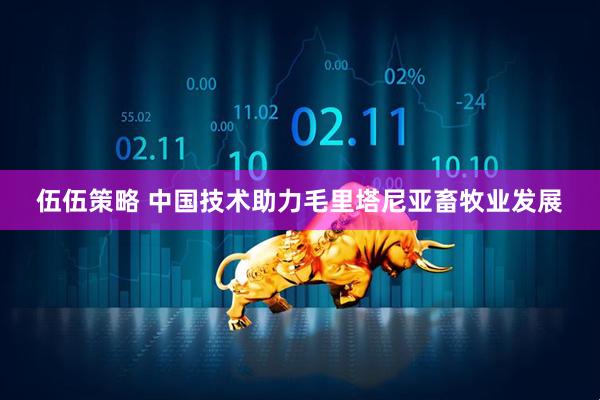 伍伍策略 中国技术助力毛里塔尼亚畜牧业发展