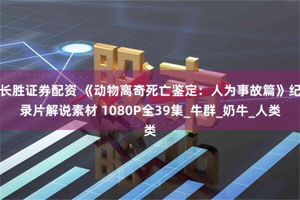长胜证券配资 《动物离奇死亡鉴定：人为事故篇》纪录片解说素材 1080P全39集_牛群_奶牛_人类